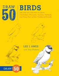 bokomslag Draw 50 Birds