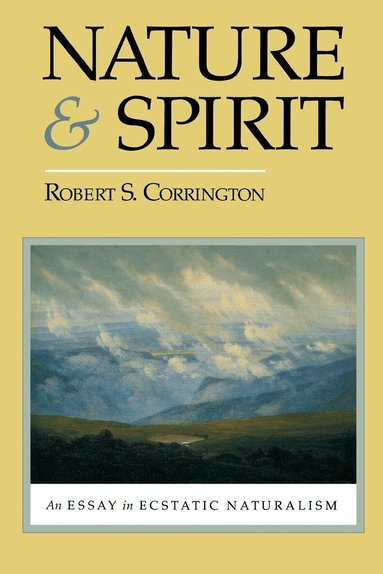 Robert S. Corrington - Nature and Spirit, Häftad