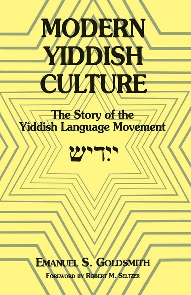 bokomslag Modern Yiddish Culture