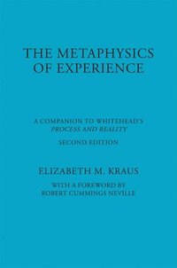 bokomslag The Metaphysics of Experience