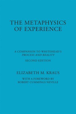 bokomslag The Metaphysics of Experience