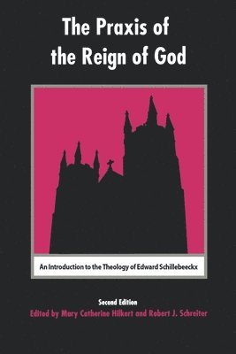 bokomslag The Praxis of the Reign of God