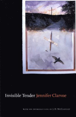 Invisible Tender 1