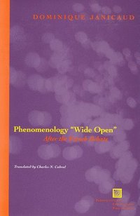 bokomslag Phenomenology &quot;Wide Open&quot;