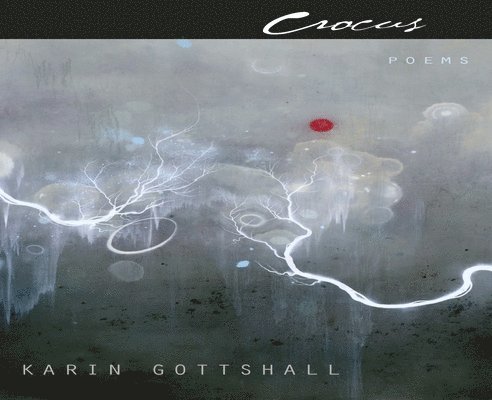 Crocus