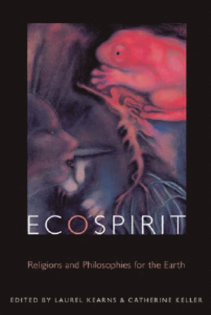 Laurel Kearns, Catherine Keller - Ecospirit, Häftad