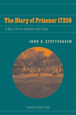 bokomslag The Diary of Prisoner 17326