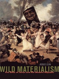 bokomslag Wild Materialism