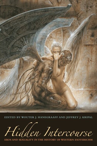 Wouter J. Hanegraaff, Jeffrey J. Kripal - Hidden Intercourse, Häftad