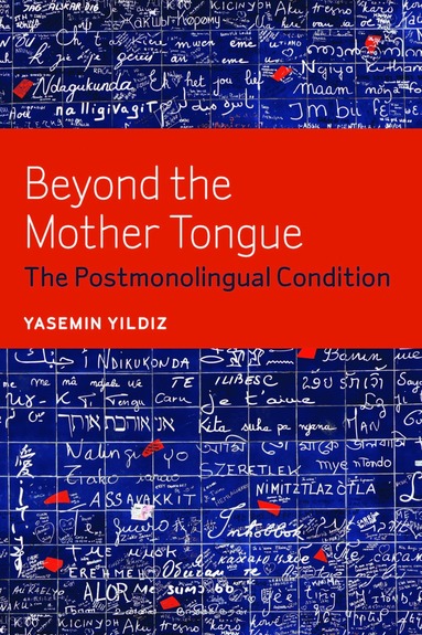 bokomslag Beyond the Mother Tongue