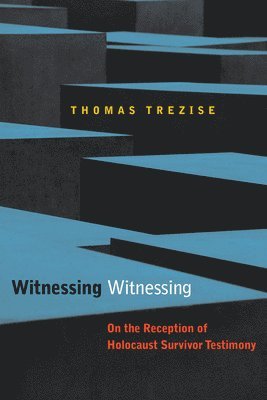 Witnessing Witnessing