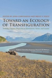 bokomslag Toward an Ecology of Transfiguration