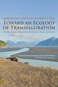 bokomslag Toward an Ecology of Transfiguration