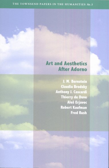 J. M. Bernstein, Claudia Brodsky, Anthony J. Cascardi, Thierry de Duve, Ales Erjavec, Robert Kaufman, Fred Rush - Art and Aesthetics After Adorno, Häftad
