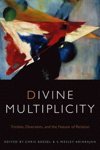 bokomslag Divine Multiplicity