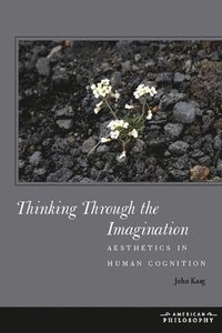 bokomslag Thinking Through the Imagination