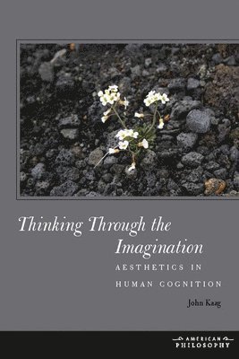 Thinking Through the Imagination 1