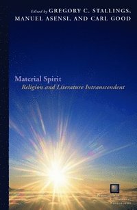 bokomslag Material Spirit