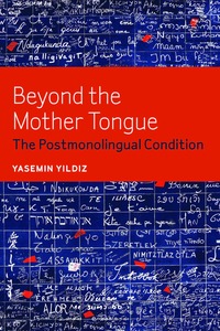 bokomslag Beyond the Mother Tongue