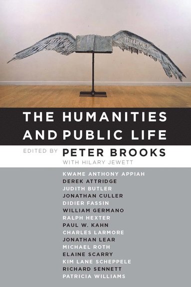 bokomslag Humanities and Public Life
