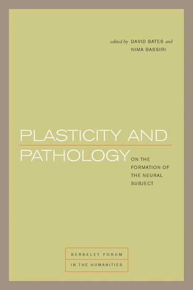 bokomslag Plasticity and Pathology