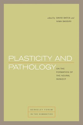 Plasticity and Pathology 1