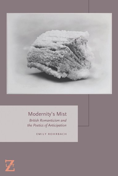 Emily Rohrbach - Modernity's Mist, Häftad