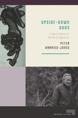 Peter Harries-Jones - Upside-Down Gods, Häftad