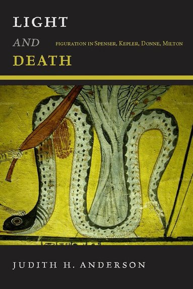 Judith H. Anderson - Light and Death, Inbunden