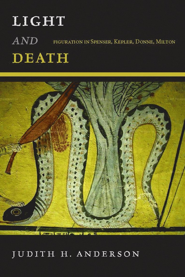 Judith H. Anderson, Judith H Anderson - Light and Death, Inbunden