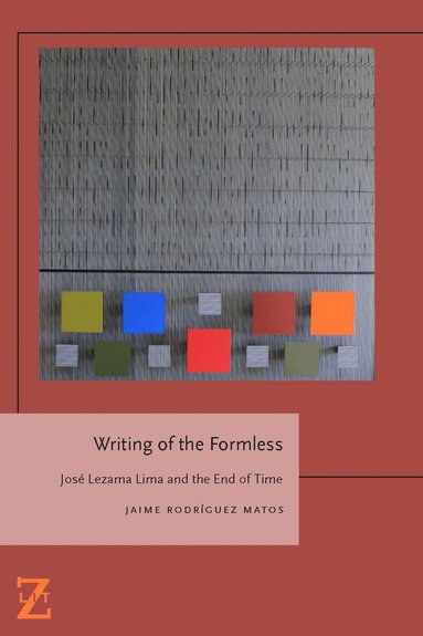 Jaime Rodríguez Matos - Writing of the Formless, Inbunden