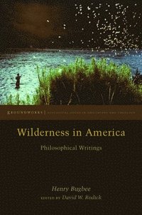 bokomslag Wilderness in America