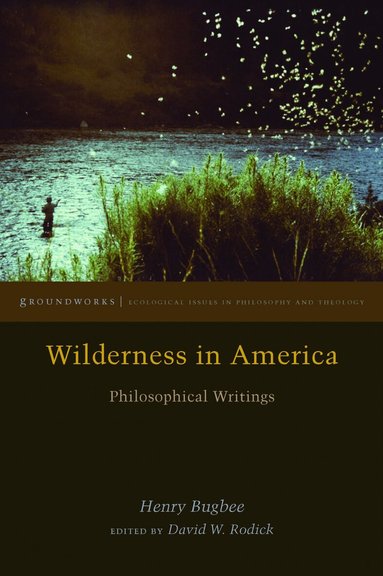 Henry Bugbee, David W. Rodick - Wilderness in America, Inbunden