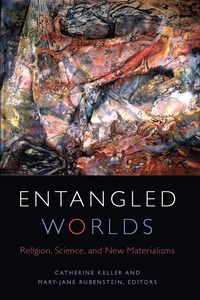 bokomslag Entangled Worlds