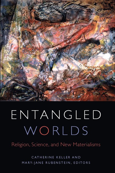 bokomslag Entangled Worlds