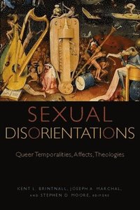 bokomslag Sexual Disorientations