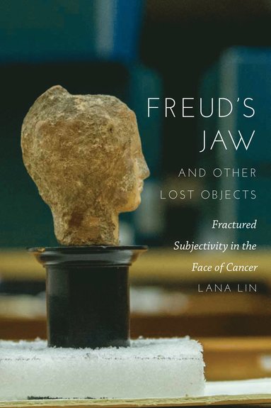 bokomslag Freud's Jaw and Other Lost Objects