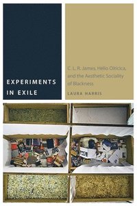 bokomslag Experiments in Exile