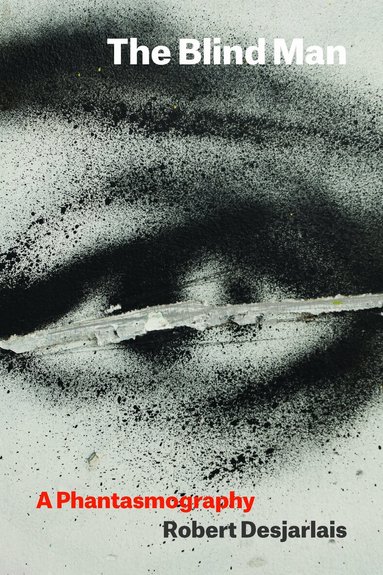 Robert Desjarlais - Blind Man, Häftad