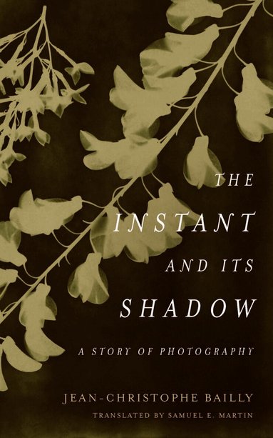 Jean-Christophe Bailly - Instant and Its Shadow, Häftad