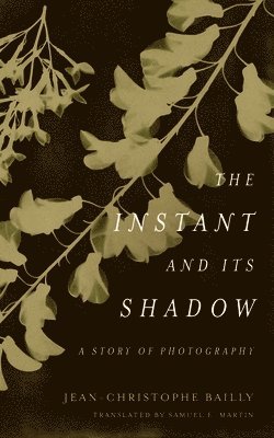 The Instant and Its Shadow 1