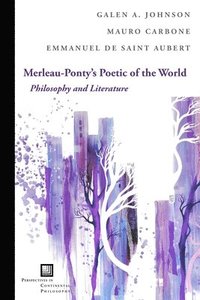 bokomslag Merleau-Ponty's Poetic of the World