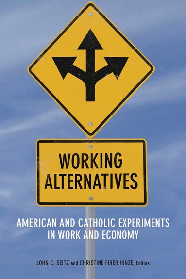 John C. Seitz, Christine Firer Hinze - Working Alternatives, Häftad