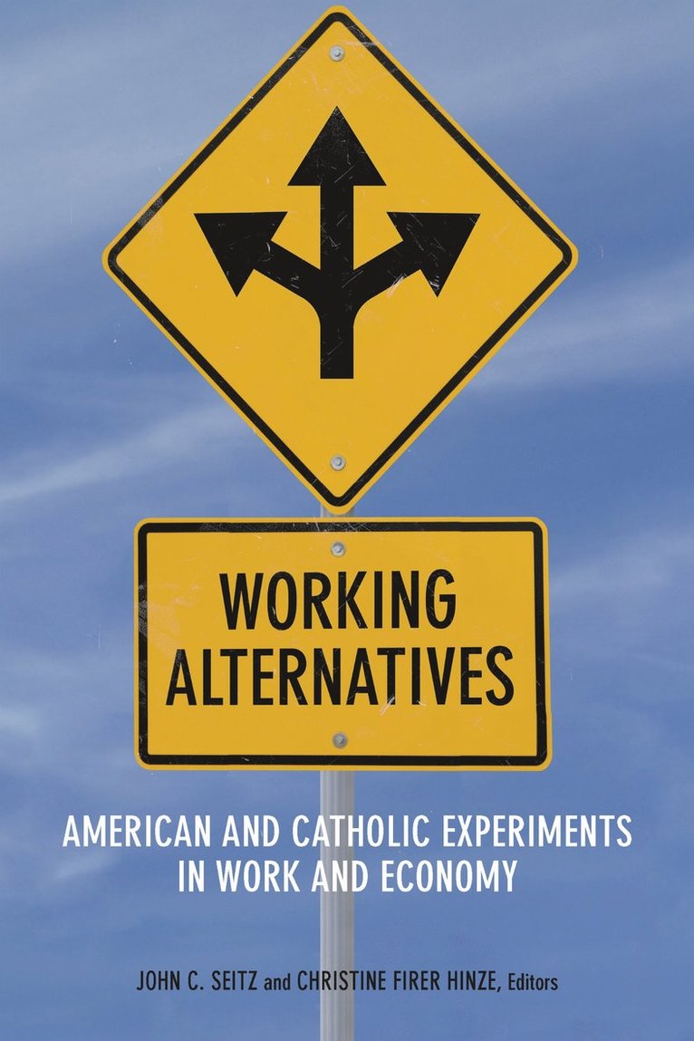 John C. Seitz, Christine Firer Hinze - Working Alternatives, Häftad