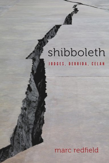 bokomslag Shibboleth