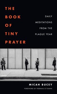 bokomslag The Book of Tiny Prayer