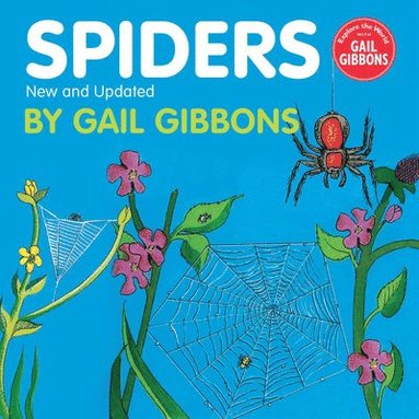 bokomslag Spiders (New & Updated Edition)
