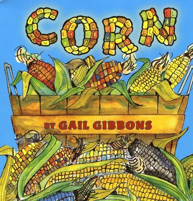 Corn 1