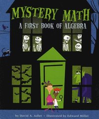 bokomslag Mystery Math