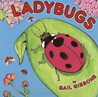 bokomslag Ladybugs